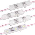 LED Modules
